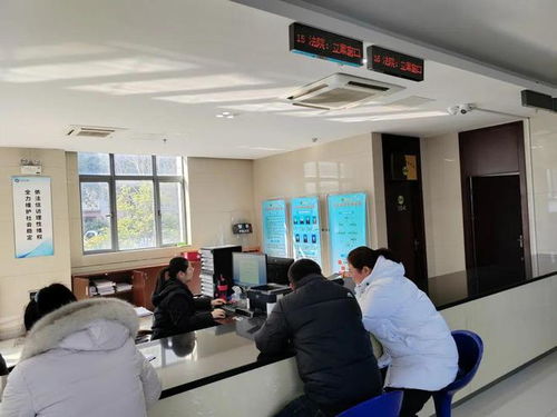 便捷惠民 延伸訴訟服務(wù)，啟東法院開通全國(guó)戶籍人口信息查詢功能