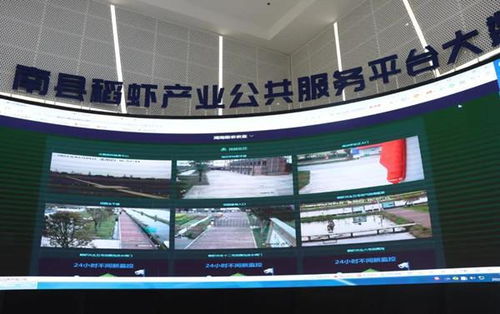 羅訊專(zhuān)題調(diào)研稻蝦產(chǎn)業(yè)發(fā)展與餐飲管理